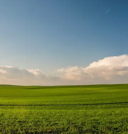 Field