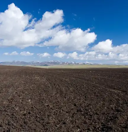 Soil in Field