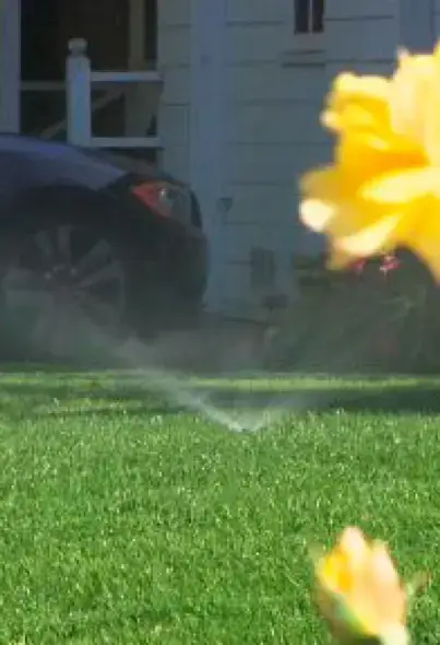 Sprinkler