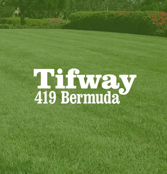 Tifway 419 Bermuda Logo
