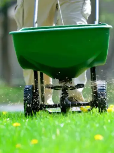 Wheelbarrow